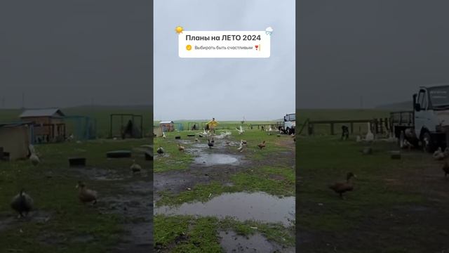 Какая у вас погода и где ?🌧️☀️❄️Делитесь в комментариях