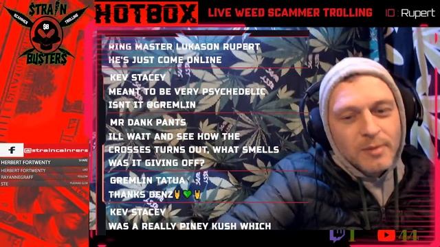 Buying Weed Online (We Prank Call Weed Scammers - LIVE) смотреть онлайн