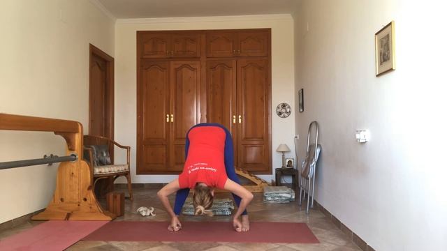 Практика Йоги Айенгара смотреть онлайн