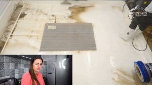 ЧИСТКА КОВРОВ +ИСТОРИЯ!ВСЕМ СПАСИБО ЗА ПРОСМОТР?