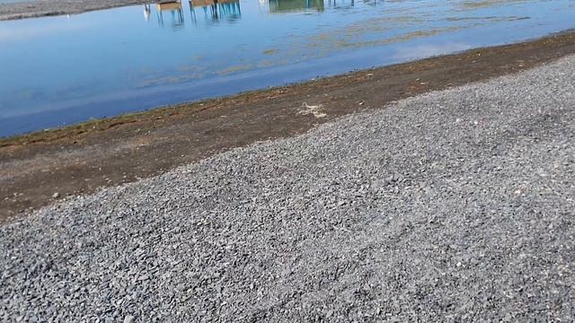 Коктума Алаколь 2023/Обзор пляжа на косе, цены на услуги #Viki.nature смотреть онлайн