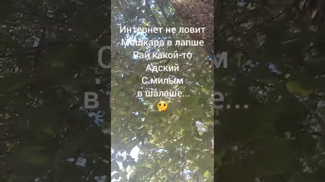 Автор: ТА, стишки пирожки смотреть онлайн