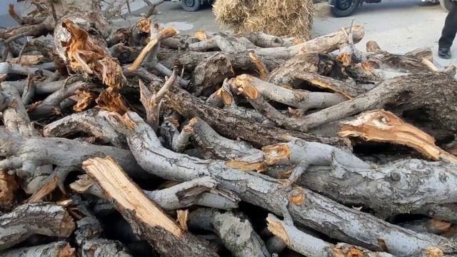 OLTIARIQ YEM-HASHAK BOZORI NARXLARI. NARXLAR ARZONLADI. смотреть онлайн