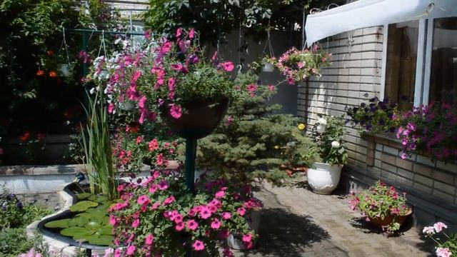 Город - цветущий сад. Выпуск 4 смотреть онлайн