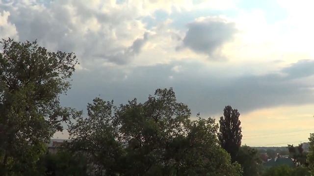 "немое кино"-Ласточкам не нравится камера смотреть онлайн