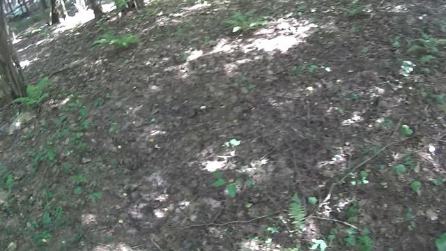 Поиск с металлоискателем, по лесным дорогам и полям! смотреть онлайн