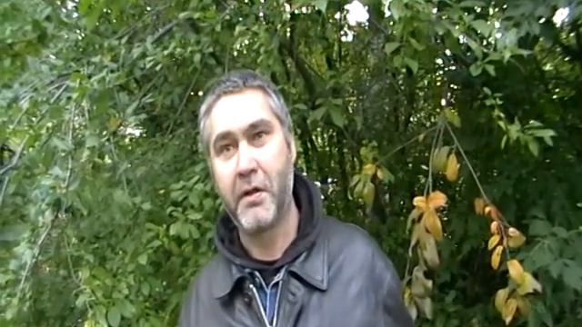 Бизнес на паях!! смотреть онлайн