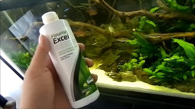 My Thoughts on Seachem Flourish Excel смотреть онлайн