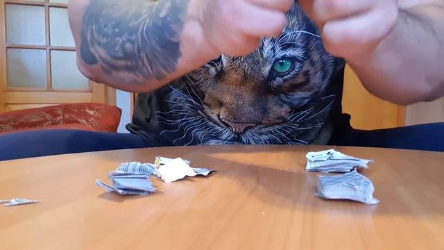 Тренировка. Игральные карты, разрыв колоды 36 карт на восемь частей. смотреть онлайн