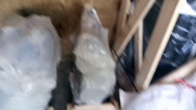 Отправка 2-х грузов ТК "ПЭК" от 29.12.2023 смотреть онлайн