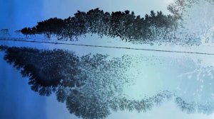 ЧТО БУДЕТ ЕСЛИ ЕСТЬ ЧИПСЫ КАЖДЫЙ ДЕНЬ؟