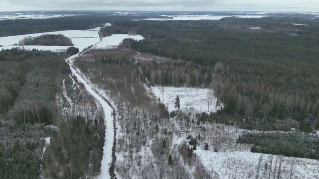 Drone DJI Mavic 3 T thermal drone test . Animals смотреть онлайн