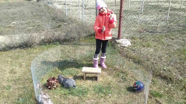 любимые и лучшие домашние животные смотреть онлайн