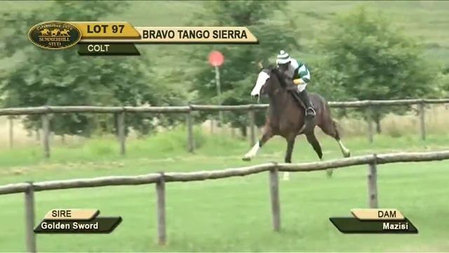 LOT 97 - BRAVO TANGO SIERRA SUMMER RTR 2017 смотреть онлайн
