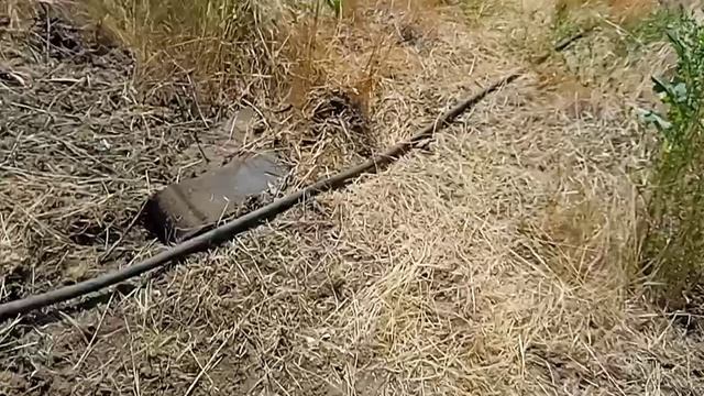 СО8. Взрываем скважину