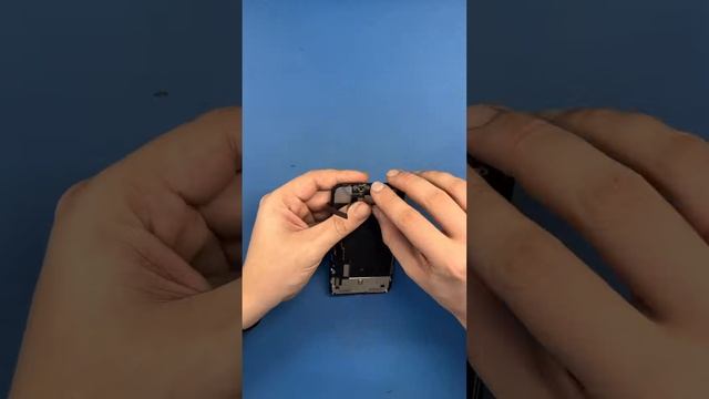Как можно так ходить? #shorts iPhone XR замена дисплея смотреть онлайн