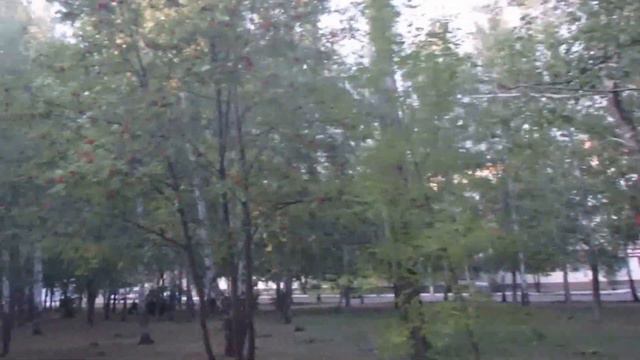 Кумертау ,парк,иду домой. 31.082015 смотреть онлайн