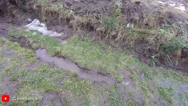 На пруду "тепло". Вношу хлореллу/Выращивание рыбы в своём искусственном пруду на участке на даче смотреть онлайн