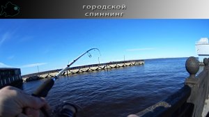 весенний микроджиг на Набережной Северной Двины