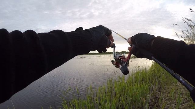 И снова покорение микрушки. Платные водоемы в Рыбном (Коряково) смотреть онлайн