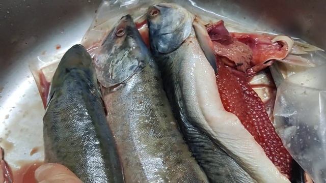 Горбуша с икрой или молокой - как ❓выбрать❓ смотреть онлайн