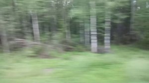 Время без забот (Макс Корж)  дорога
