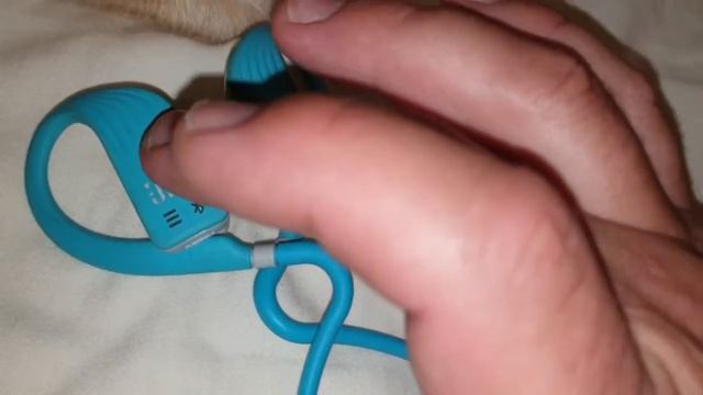 наушники JBL Endurance Dive