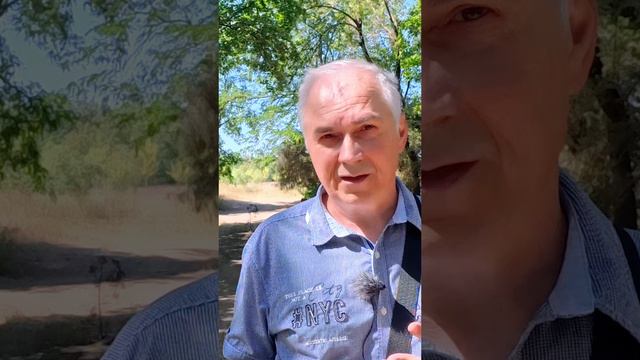 ВЛАСТЬ ЖЕНЩИНЫ! Убивает или возвышает? #александрковальчукпсихолог #психологотвечает смотреть онлайн