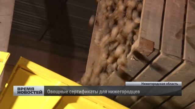 Овощные сертификаты раскупают в Нижегородской области смотреть онлайн