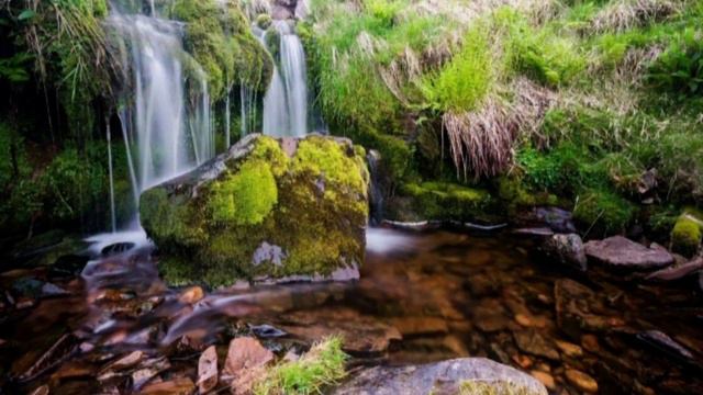 Музыка для души, все должны услышать эту музыку смотреть онлайн