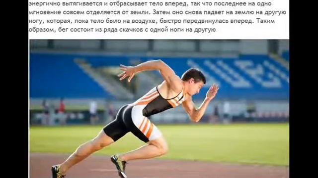 Физическая культура 1 четверть Урок № 2 смотреть онлайн