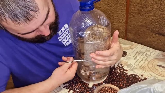 грибы без присмотра) что выросло?)) смотреть онлайн