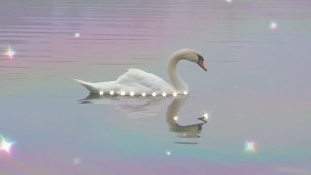 Relaxing Music,Guitar & Flute Music ,music for workout, music for meditation смотреть онлайн