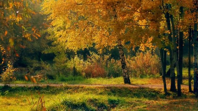 Муж ушёл, бросив мать на бывшую, но свекровь вскоре выдала сюрприз... смотреть онлайн