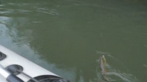 Первый сплав по реке Сим! Наши впечатления!