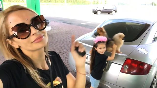 Шпицы Устроили Дур Дом В Машине Ева БонБон в Панике от Померанцев смотреть онлайн