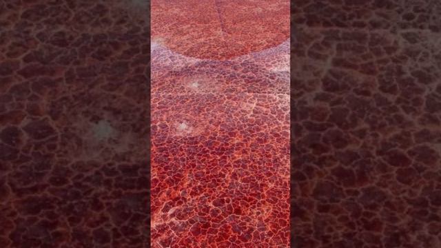 Lake Natron The Scariest Lake