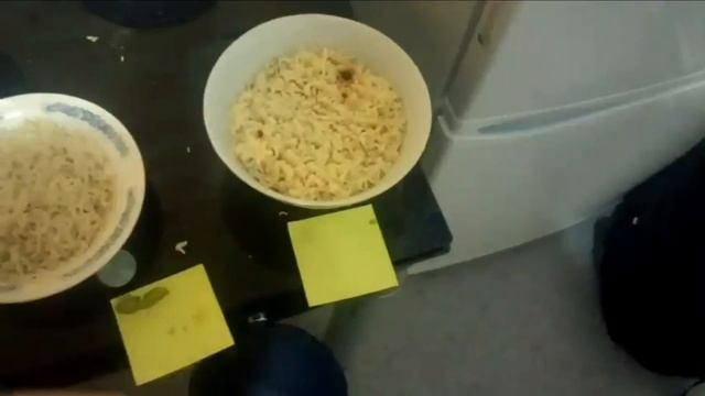 Делаем из кота доширак. ТОП-4 лапши быстрого приготовления. смотреть онлайн