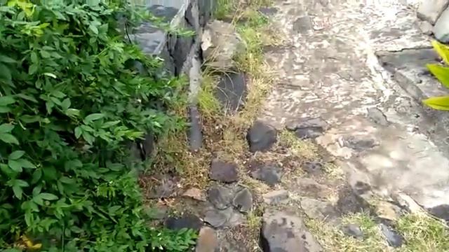 Тропа5 смотреть онлайн