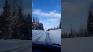 по дороге зимней,скучной. тройка борзая бежит.........