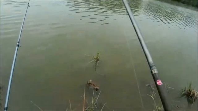 Ловля на пенопласт 2022 . Снасть в работе . смотреть онлайн