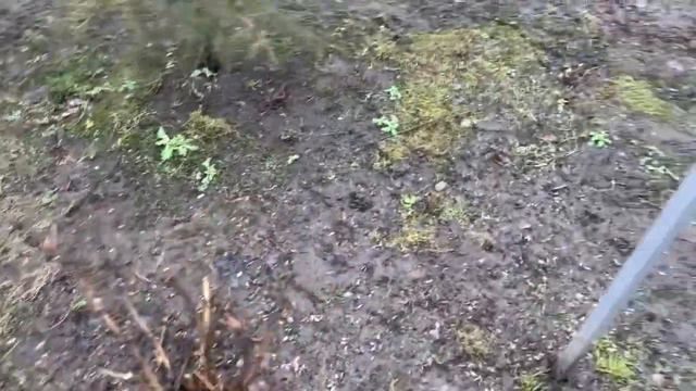 Влог/Стрижка/ Покупки/Банька смотреть онлайн