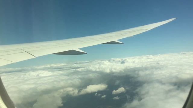 TUI UK Boeing 787-8 takeoff from Bristol Airport смотреть онлайн