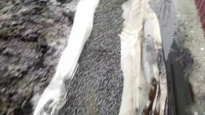 как работает дренаж + ливневая система. вариант без жб колодца