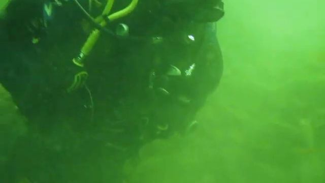 Предложение руки и сердца под водой (Телецкое) смотреть онлайн