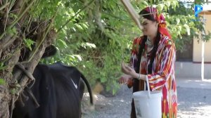 Духтари Русс дар говҷушӣ! ? «Бонуи пурҳунар»