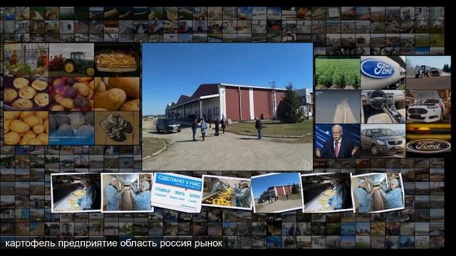 В Рязанской области открылся новый завод Касимовский картофель