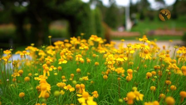 Best Romantic Songs Love Songs 💖 Most Romantic Sax, Guitar, Piano Love Songs