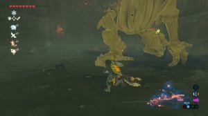 Zelda Breath of the Wild - Hylian Shield Location (Best Shield)