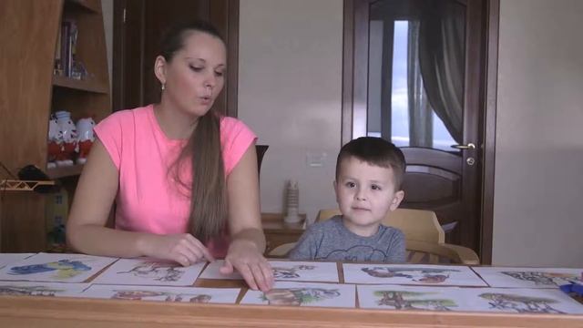 Развитие речи и обогащение словаря . Беседа на тему «Домашние животные и их детеныши». Речевые игры смотреть онлайн